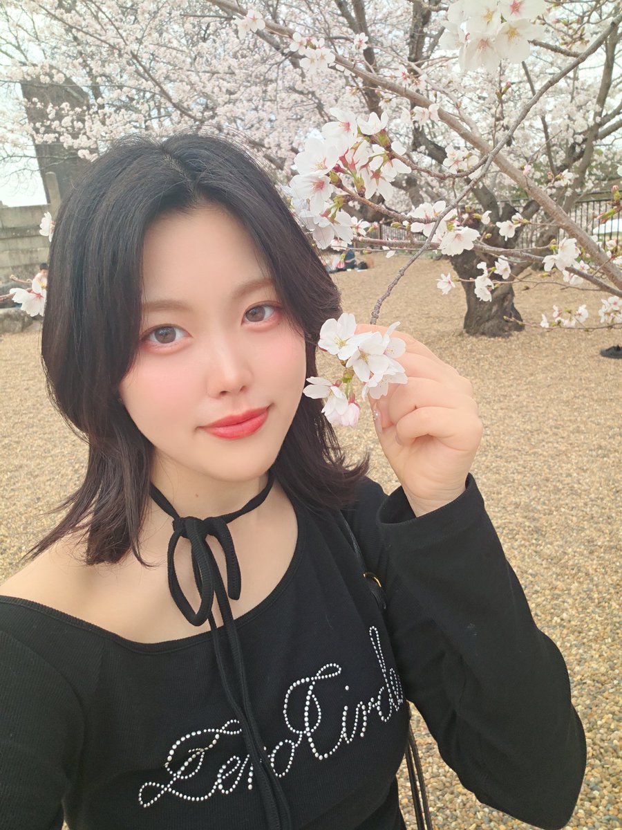 はっけ🀄☯️@DMMぱちタウン tweet media