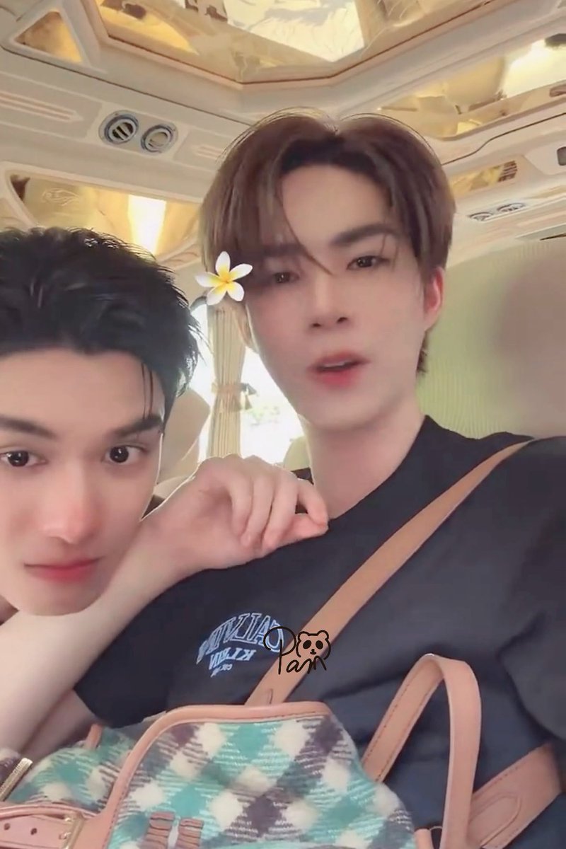 panpan🖤🐰 tweet media