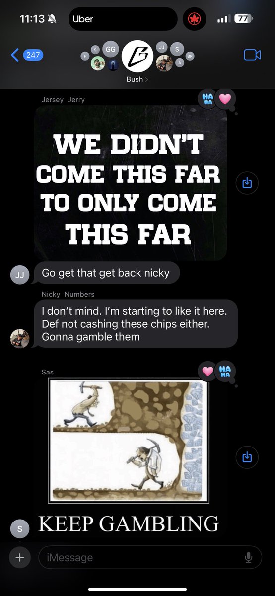 Telluride Bush Gaming tweet media