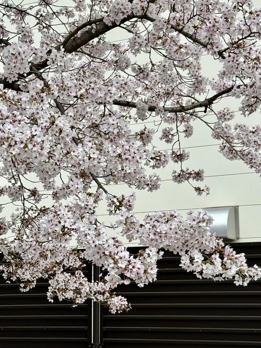 とし❄️週5AIトレ💪 tweet media