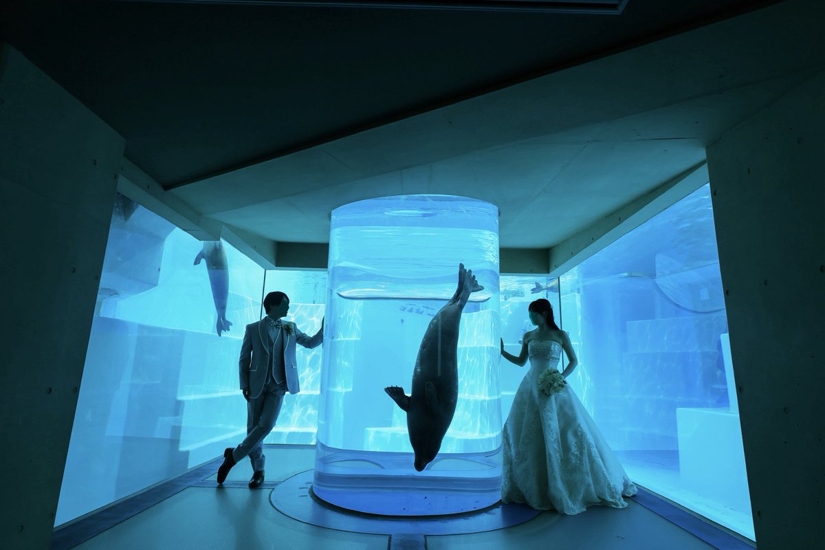 ささめ𓇼🫧 tweet media