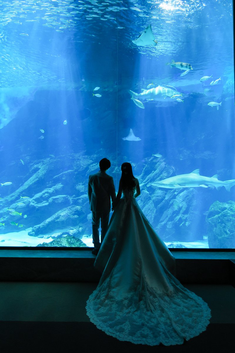 ささめ𓇼🫧 tweet media