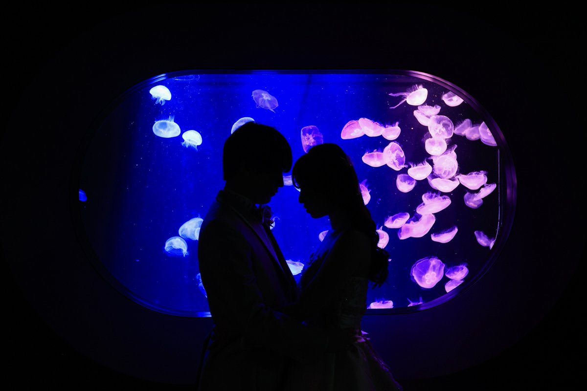 ささめ𓇼🫧 tweet media