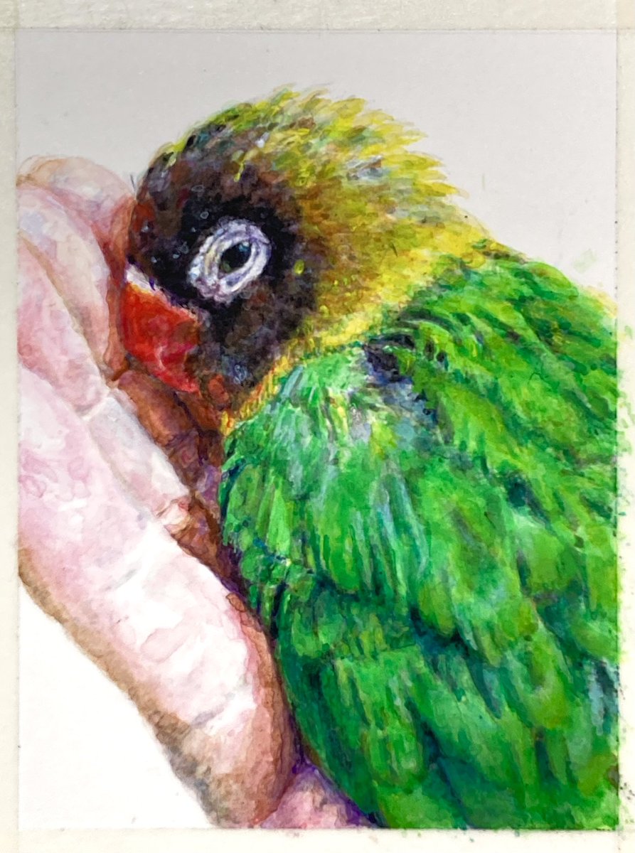 せーさん tweet media