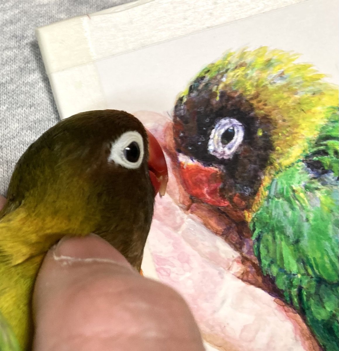 せーさん tweet media