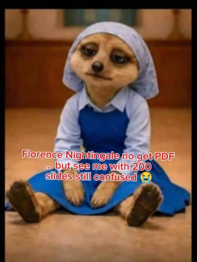 FARAGAH✨ tweet media