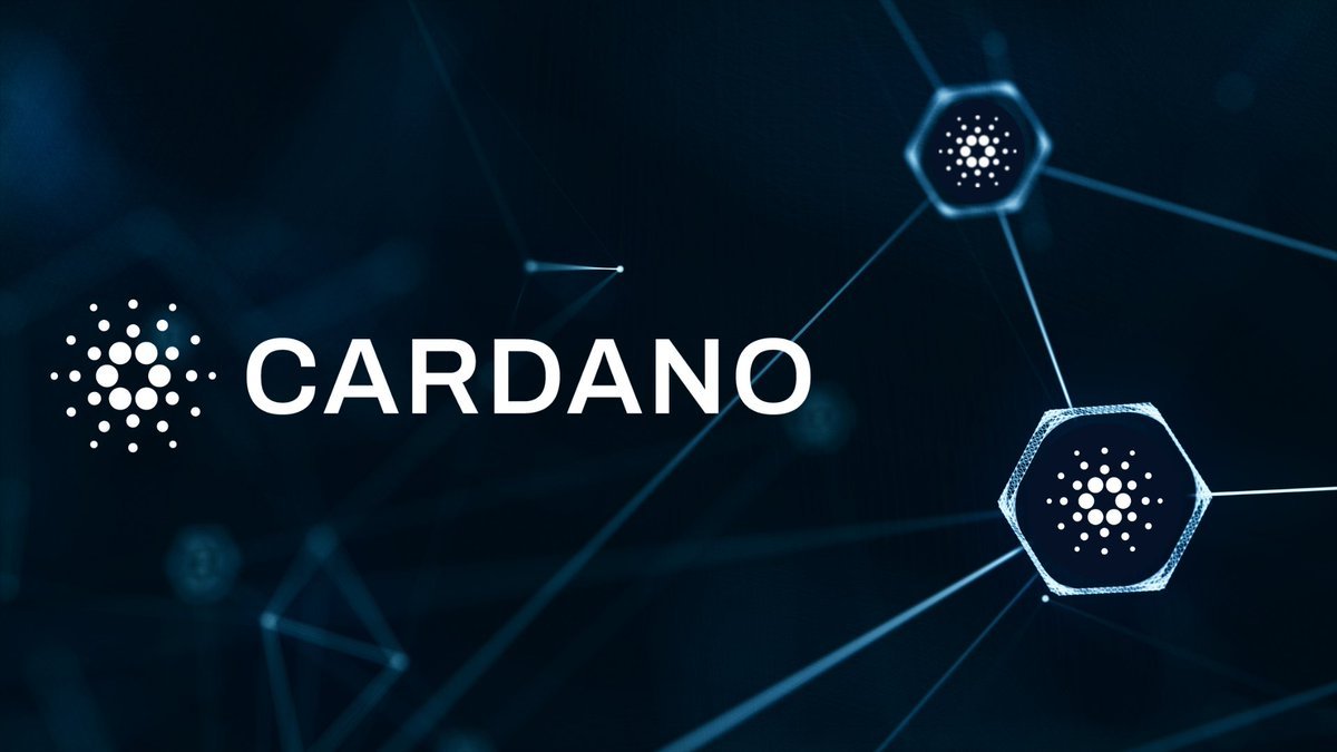 Cardanians (CRDN) tweet media