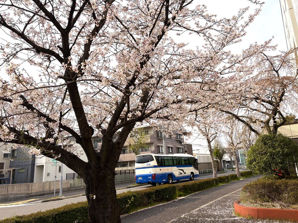 【公式】ジェイアール東海バス(株)🚌 tweet media