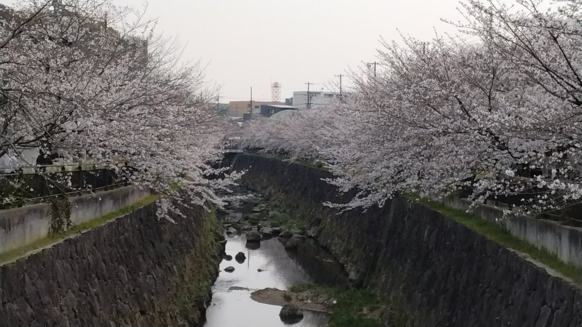 お爺ちゃん tweet media