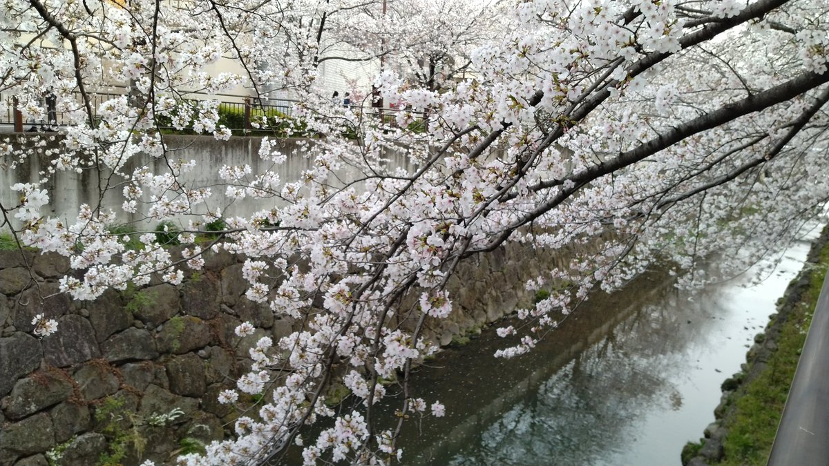 お爺ちゃん tweet media