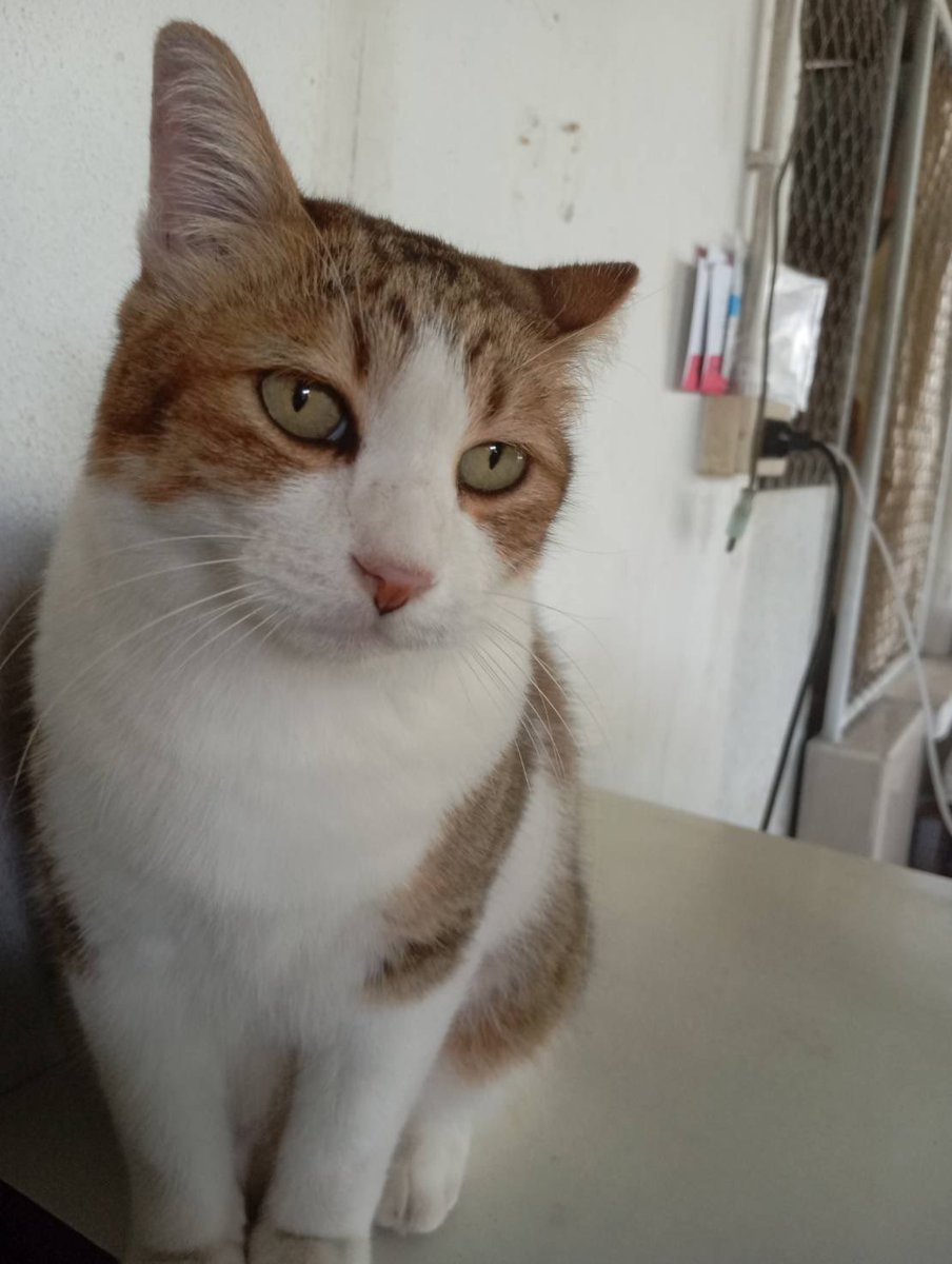 (rest) YOUNG_B ft. #TEN_STUNNER tweet media