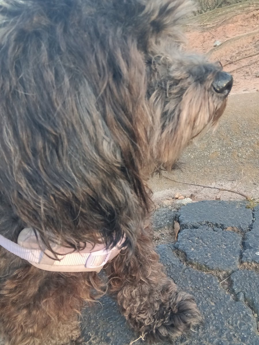 StaticVoidVT 📼🔪【horror vtuber】REDEBUT TBA tweet media