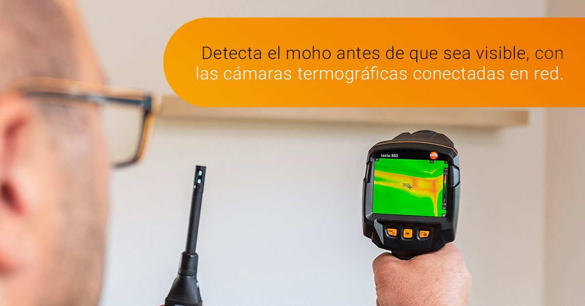 Testo España tweet media