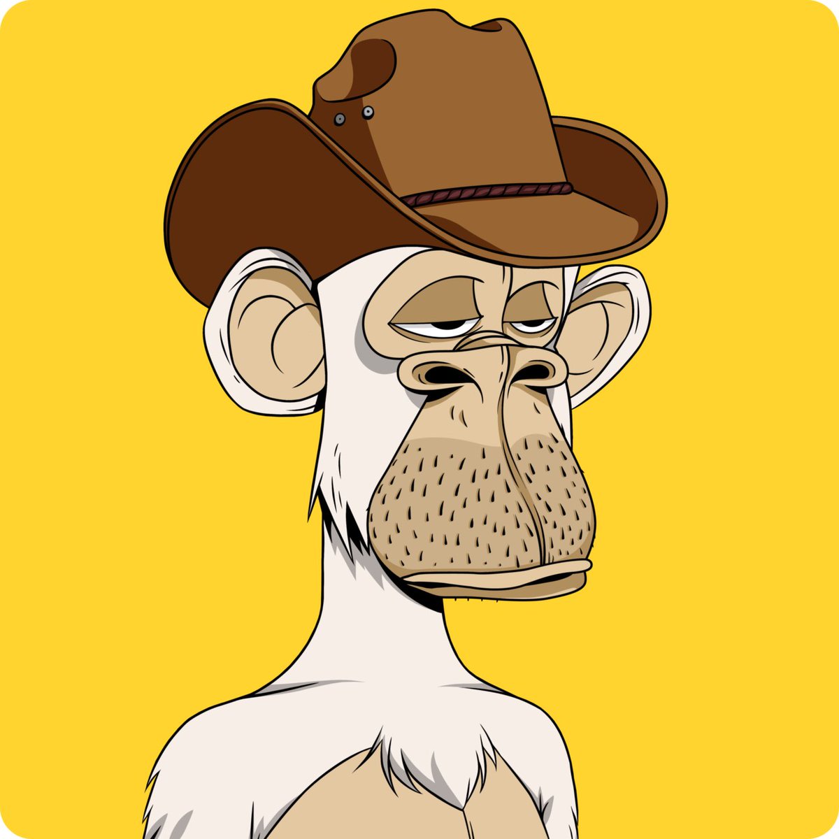 chippydip_'s tweet photo. @0xFinnster @0xAp3s Gm Finnster! https://t.co/6V89VDx5Bh