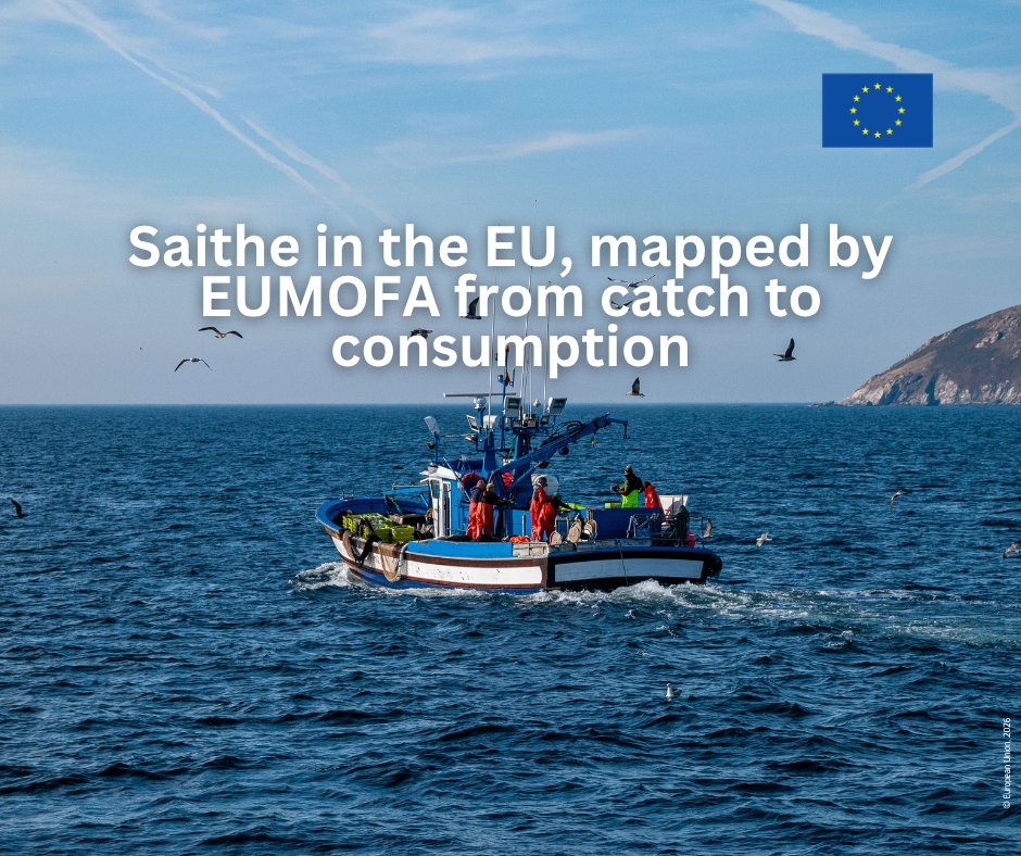 EU Maritime & Fish tweet media