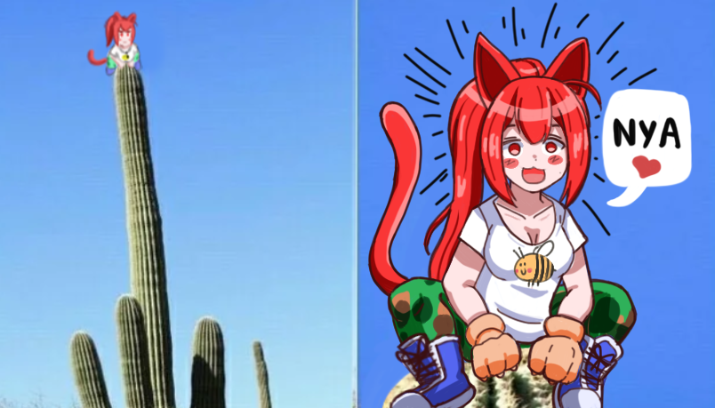 ZeroKoneko - ゼロコネコ 🇨🇱 🐈 tweet media