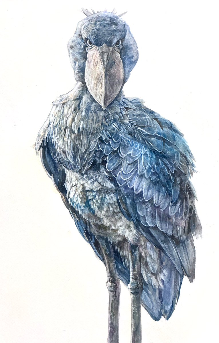 タカハシ シオン【個展4/14-4/19 宮城にて開催】 tweet media