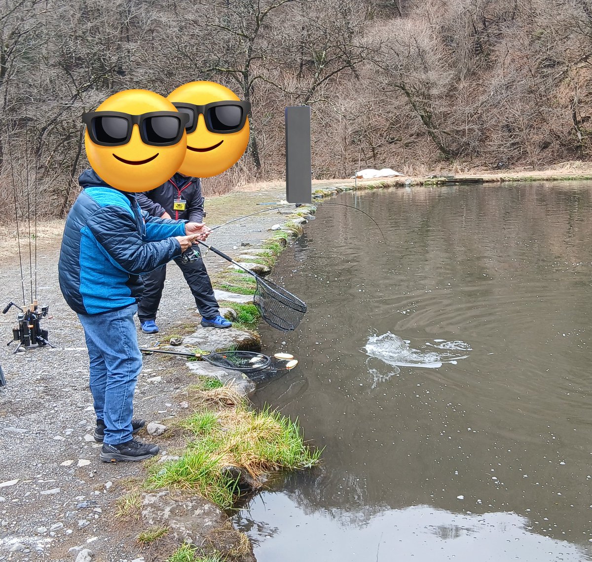 てんとうムシ🐞 tweet media