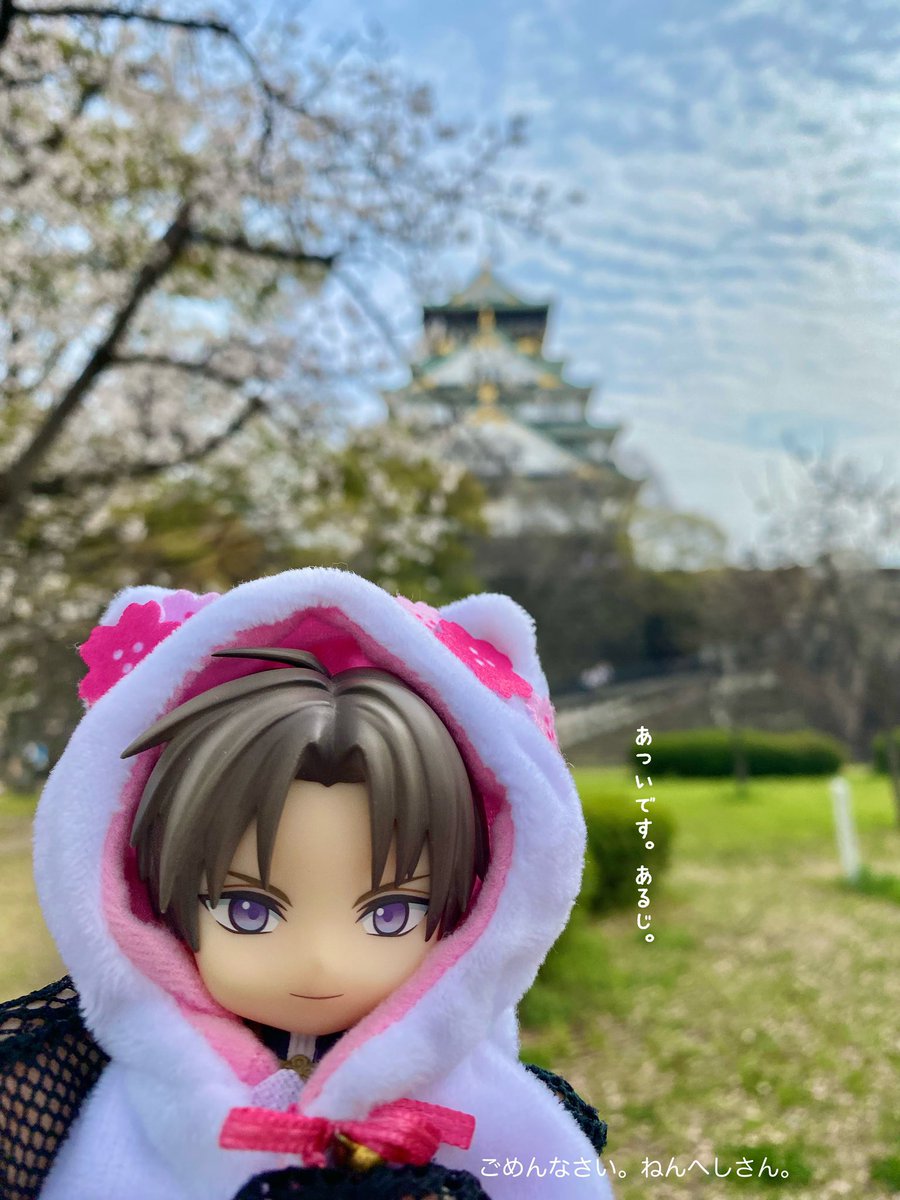 みゅげ🍡伯耆国 tweet media