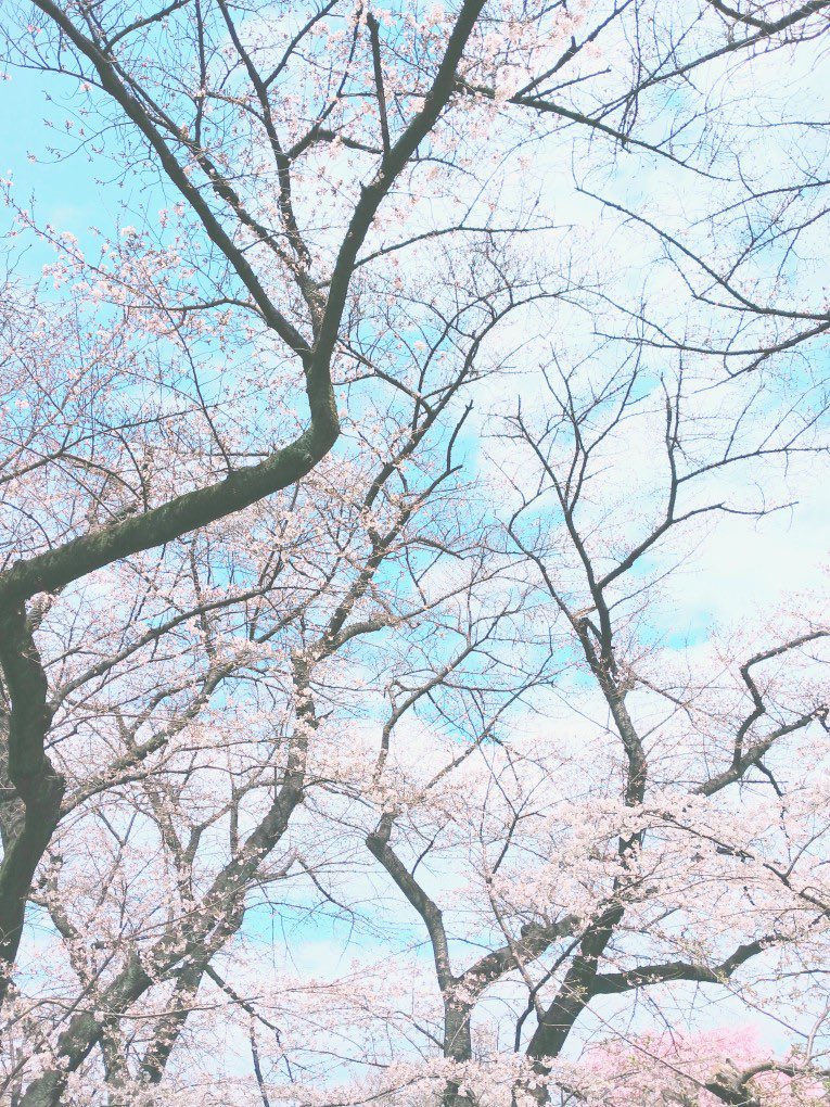 大西タカミ tweet media