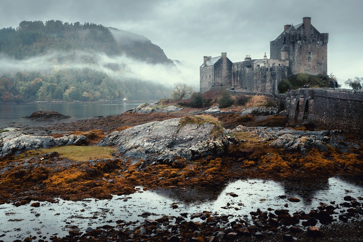 Damian Shields tweet media