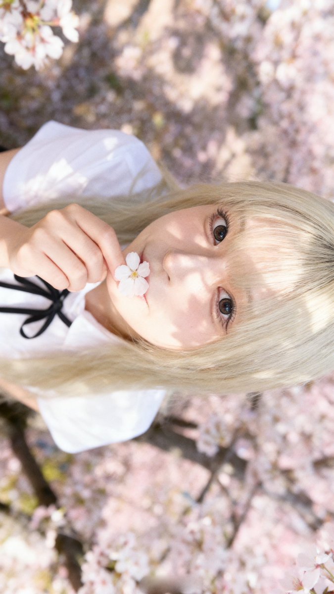 こがちゃんちゃん🍟 tweet media