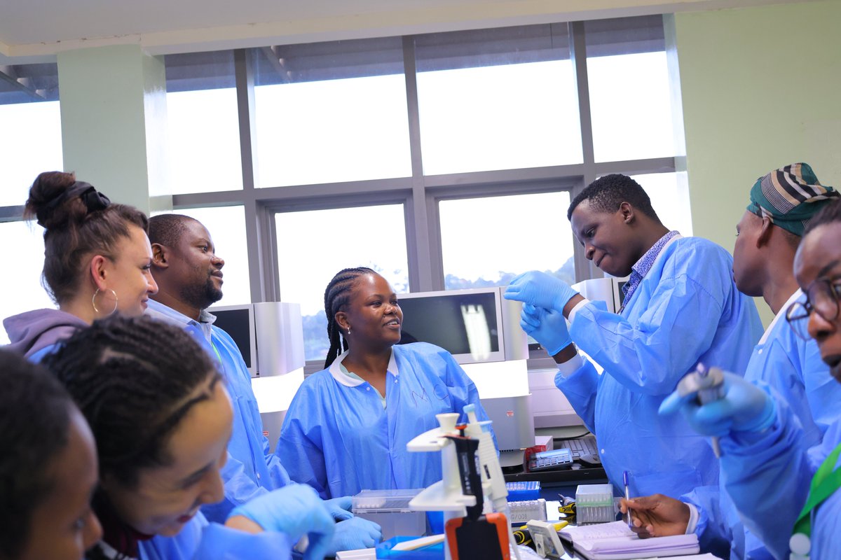 cphluganda's tweet photo. Africa is stepping up the fight against malaria through molecular surveillance. A regional training @cphluganda  equipped experts from 10 countries with tools like MAD4HATTER &amp; NOMADS to detect drug resistance &amp; strengthen data-driven responses. More: https://t.co/0GBRhykZQr https://t.co/rvuNPz0SeT