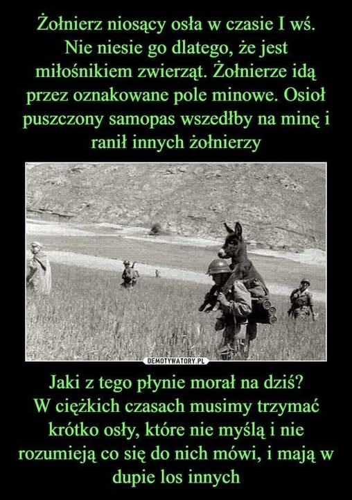 Dariusz Brzozowski tweet media