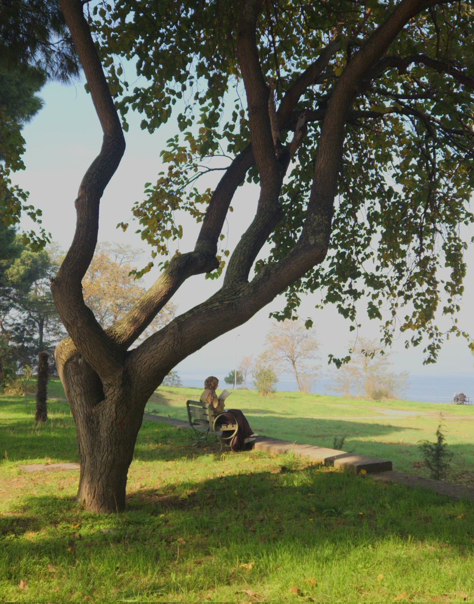 ceren🦊 tweet media