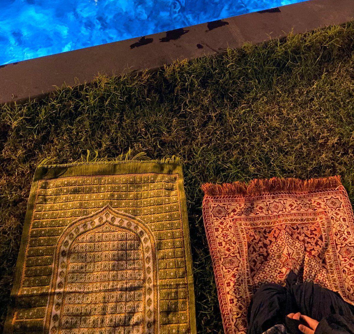 ceren🦊 tweet media