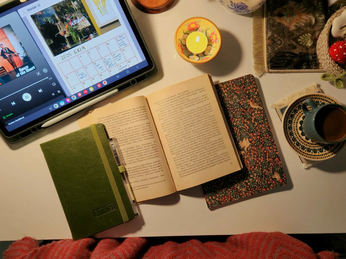 ceren🦊 tweet media