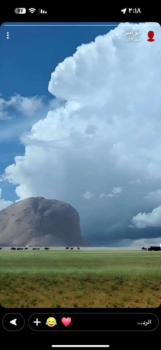 راشد آل خريف tweet media