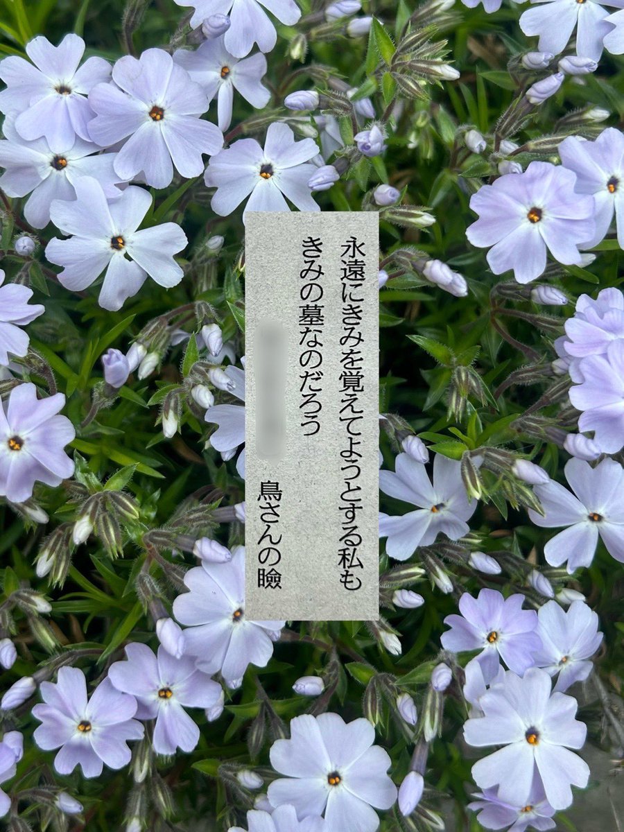 鳥さんの瞼 ◆ 歌集『死のやわらかい』 tweet media