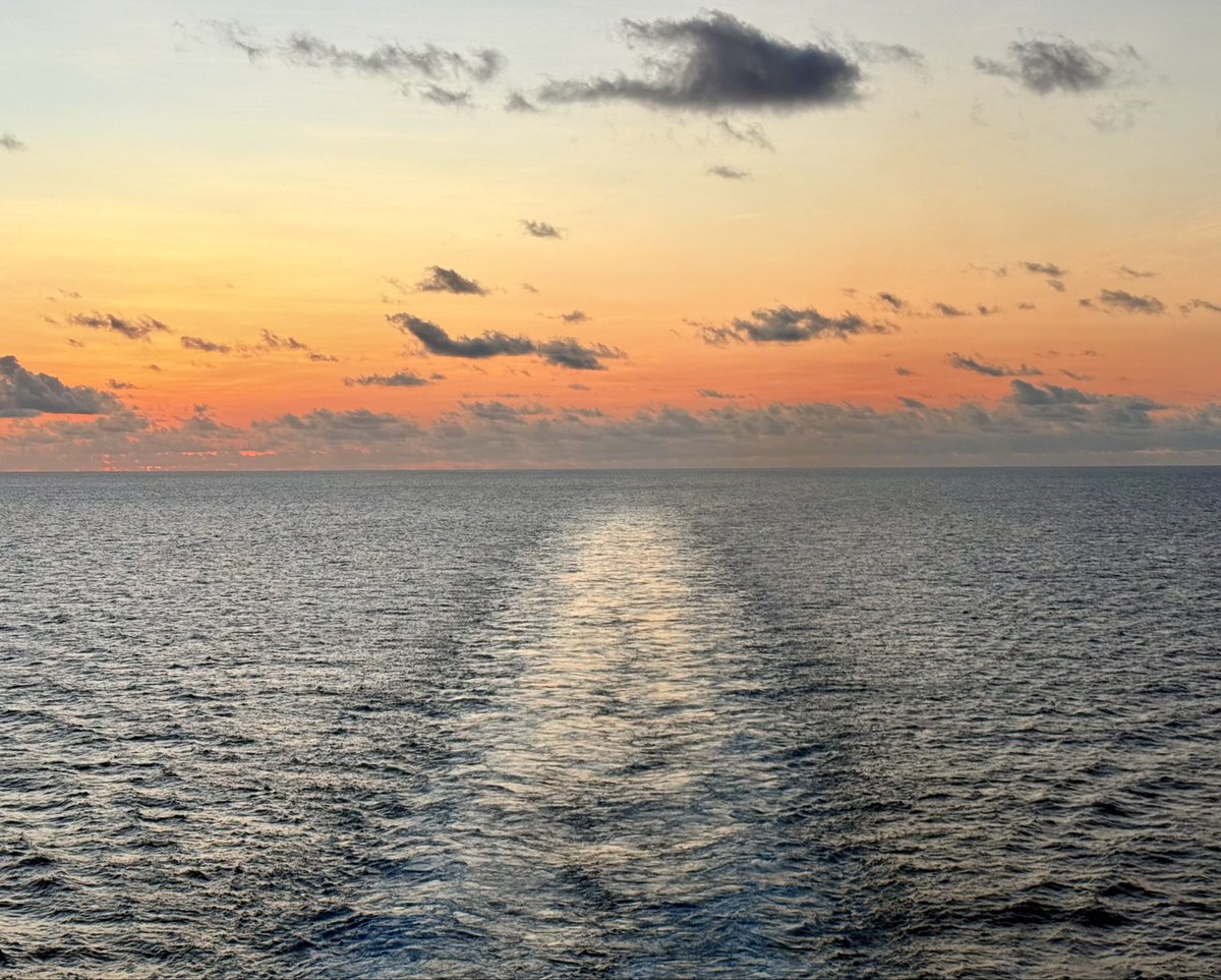 Stephen Royle tweet media