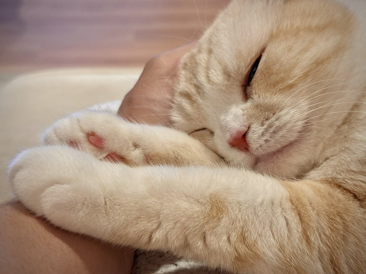 みすじ tweet media