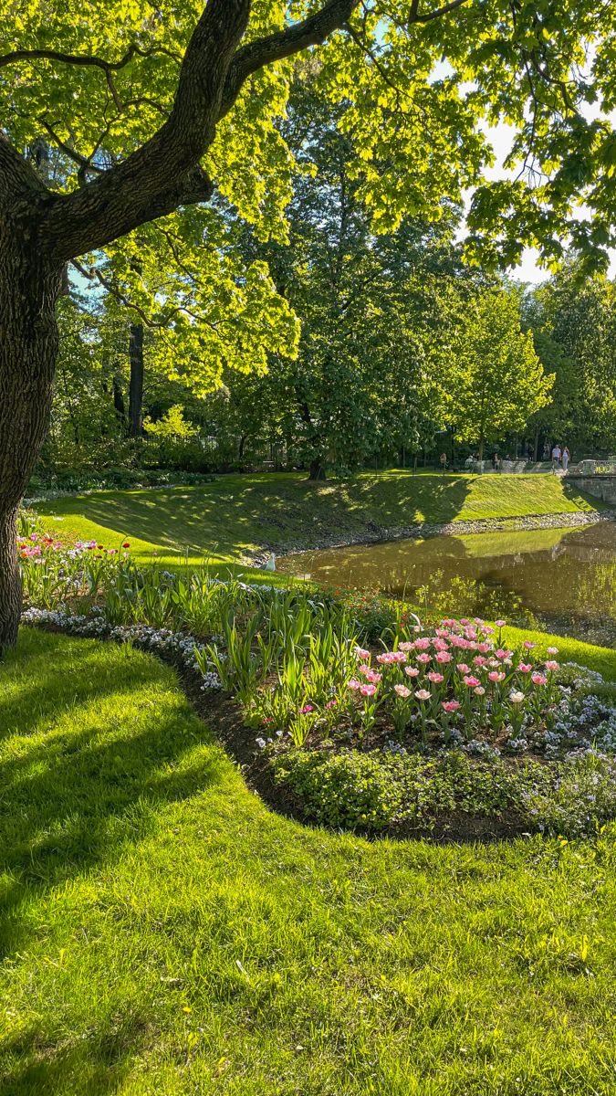 HeavenOnEarth tweet media