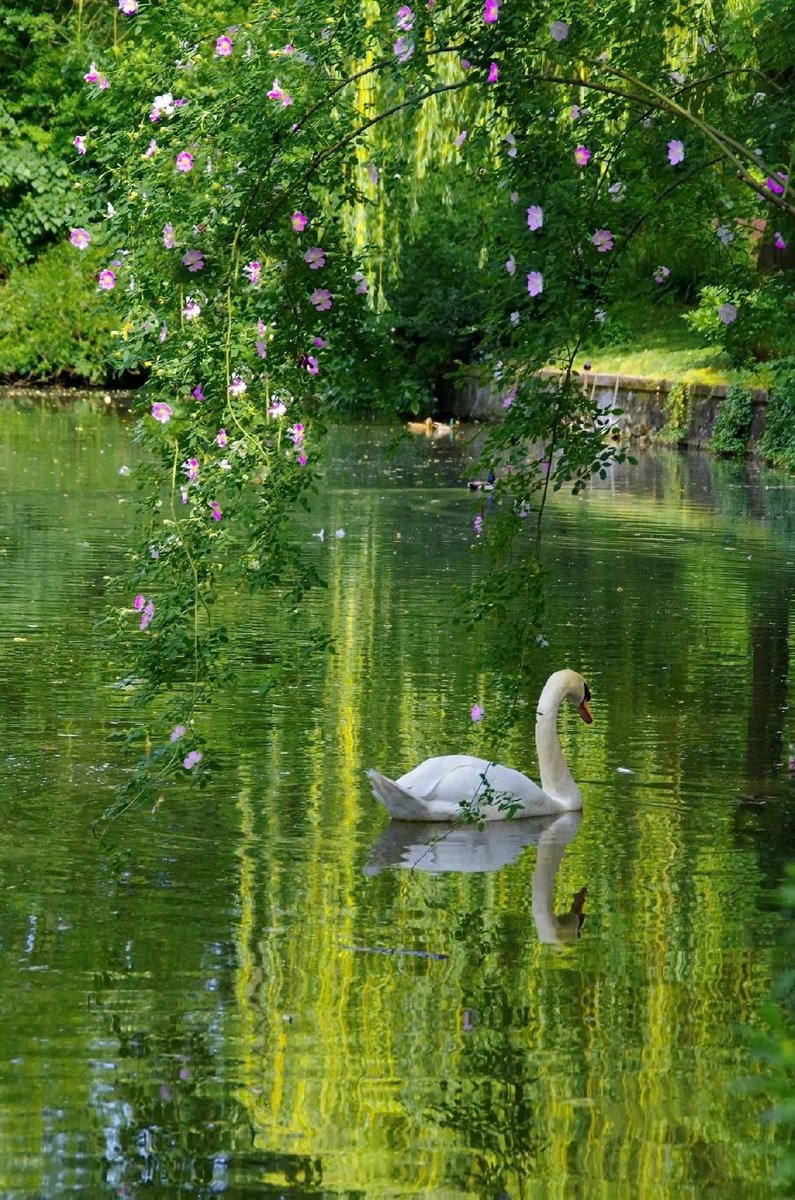 HeavenOnEarth tweet media