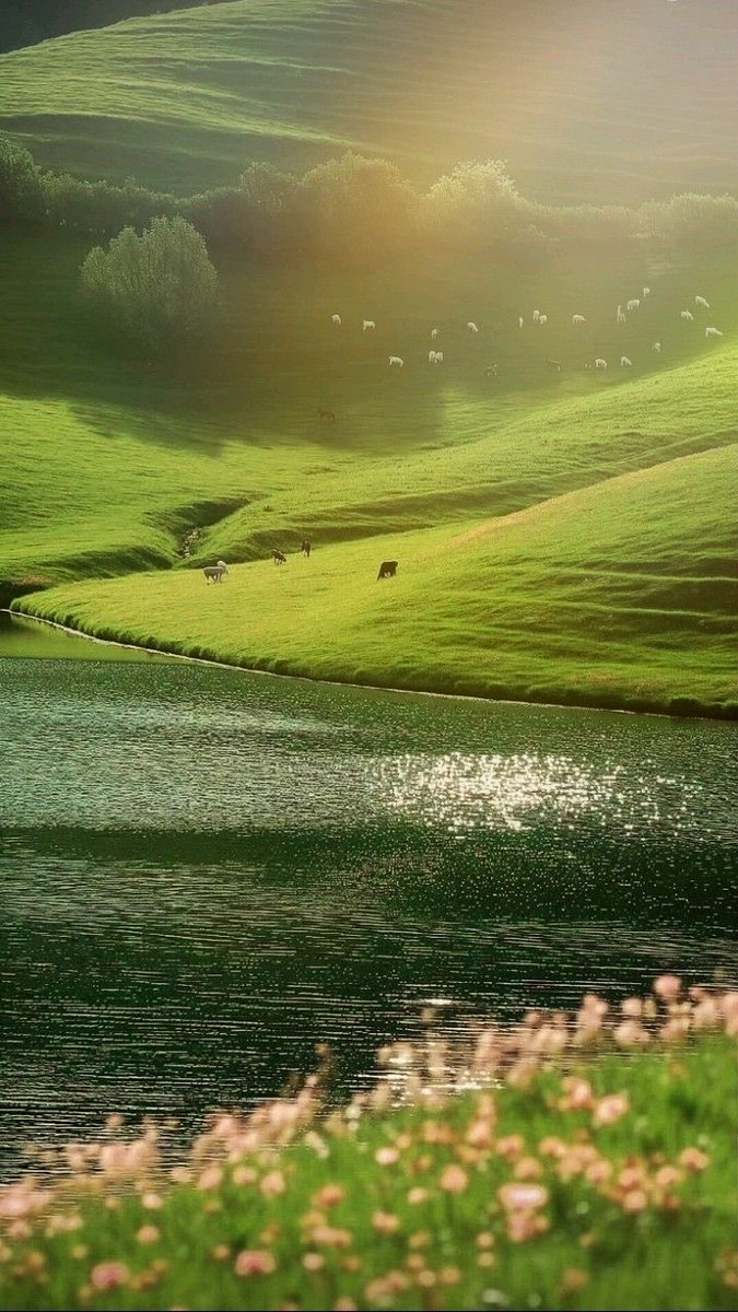 HeavenOnEarth tweet media