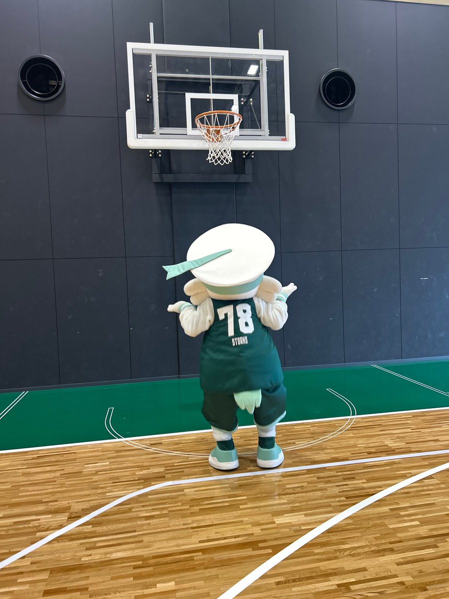 【公式】ストーキー(神戸ストークス) tweet media