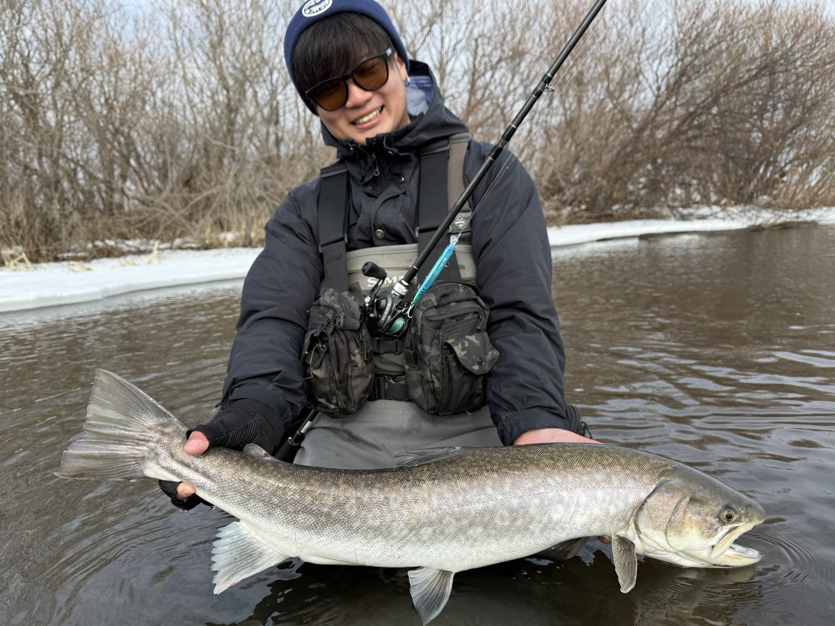 山本　斐琉 tweet media