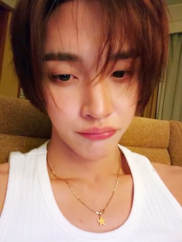 𝗽𝗼𝗿𝗺𝗮𝗲𝘄 ₍^. .^₎Ⳋ tweet media