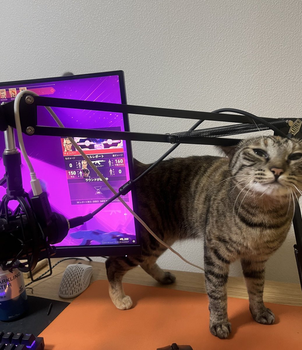 shakoman tweet media