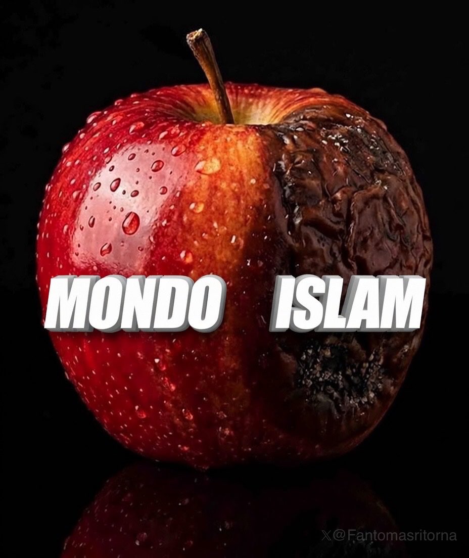 𝔻𝕆ℝ𝕀𝔸ℕ 𝔾ℝ𝔸𝕐 ™🇮🇹 𝕏 🧱🗿 ✠ tweet media