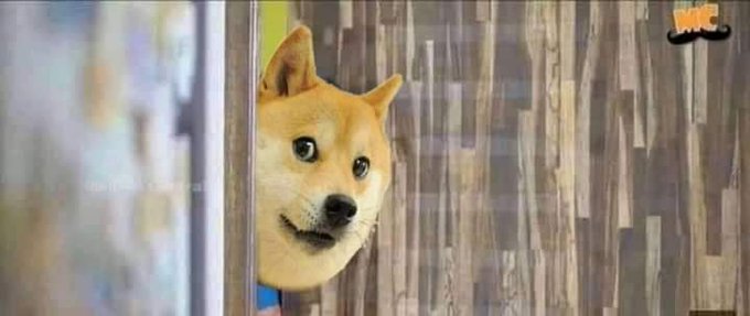 Lambert𝐗 tweet media