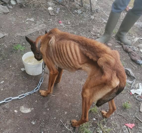 Msc.Majambere Protais tweet media