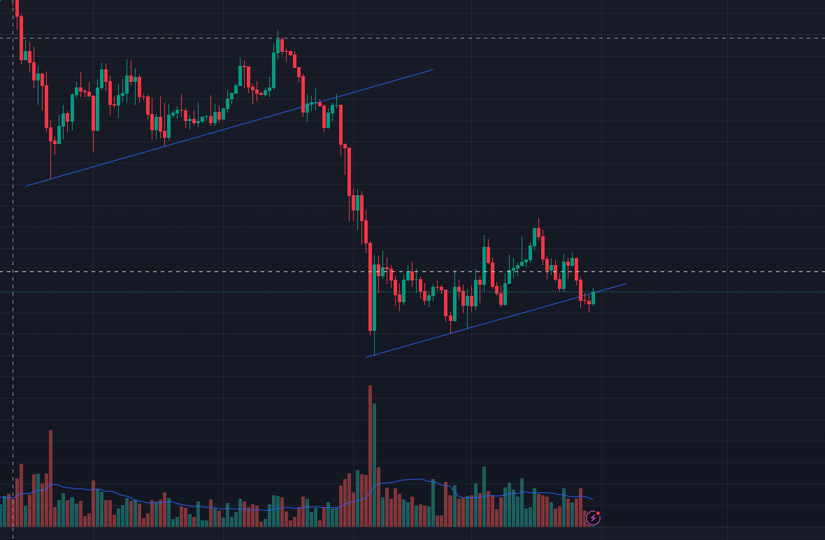 Liy Wicky tweet media