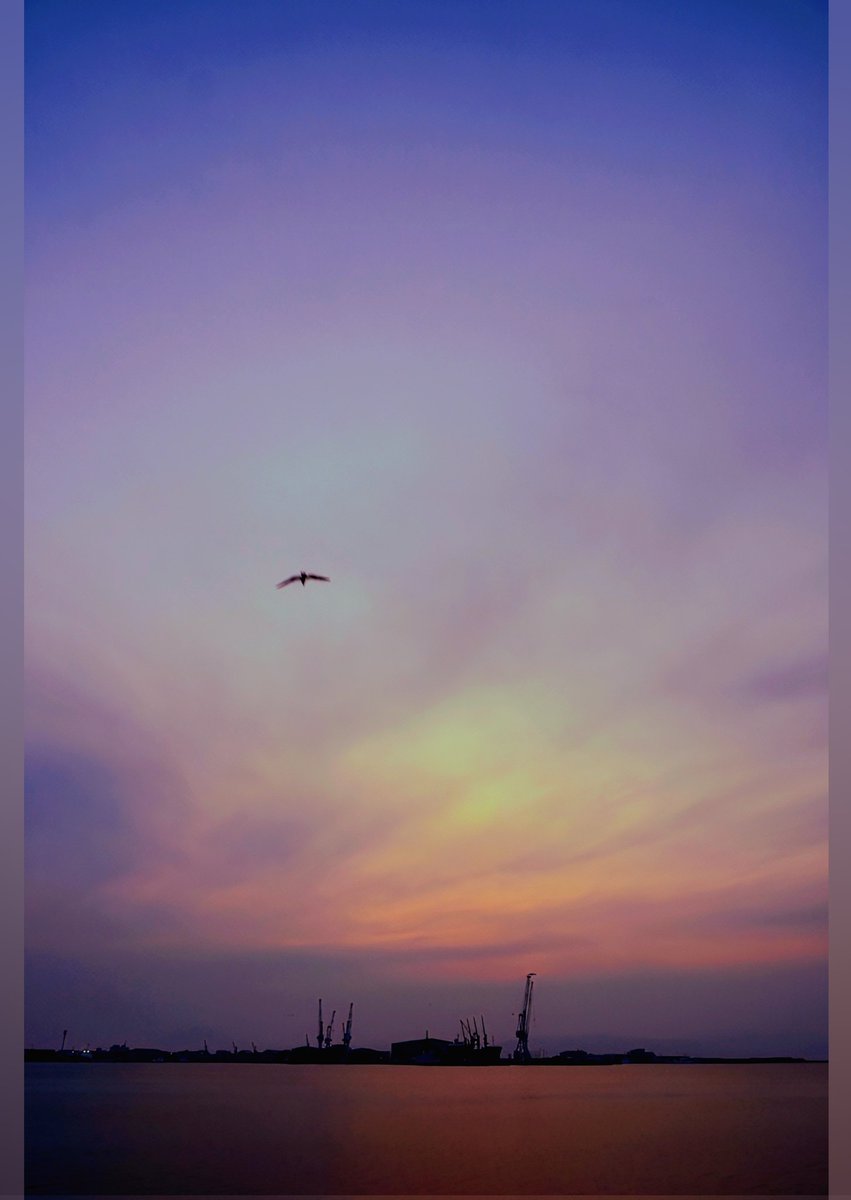 hanamaru tweet media