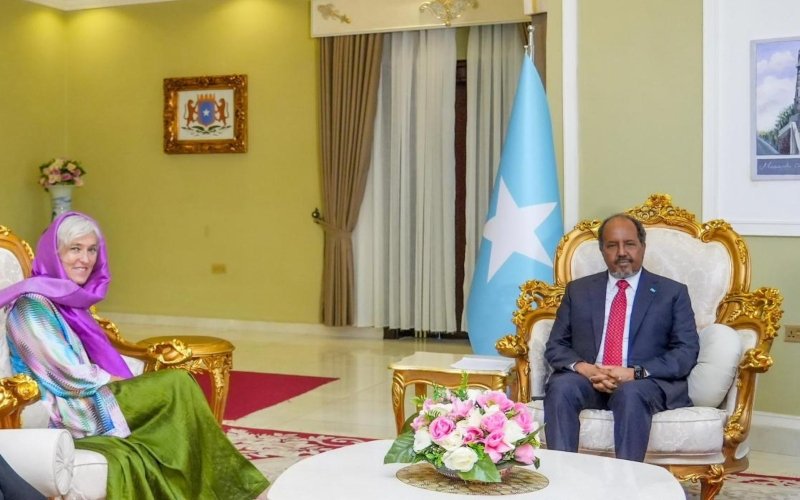 David Green tweet media