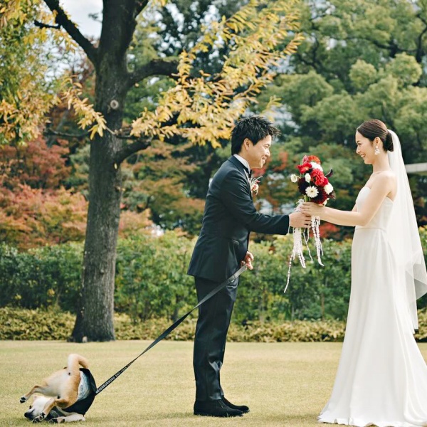 maidona_nashiki's tweet photo. /／
🐶 結婚式で柴犬がゴロン❣️
\＼
新郎新婦の背後で芝生堪能するころっけくんに「最高すぎる」「一生の思い出」「こういうのが良い！」／Threadsユーザー・@north_017さん
📝詳細はこちら（まいどなニュース）
https://t.co/sne8aTD2Me

#柴犬 #しばいぬ #柴犬のいる暮らし #ShibaInu #Shiba #豆柴 #shibainu #いぬすたぐらむ #犬好きさんと繋がりたい #dog #柴犬大好き #ShibaLove #ShibaDog #ShibaInuOfInstagram #日本犬 #まいどなニュース