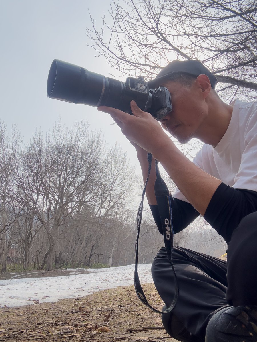 いまいごう@スズメ写真家 tweet media